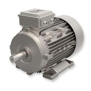 OM-GOST Low Voltage Cast Iron Motor by OME Motors