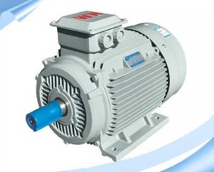 Wannan YE3/YE4 High Efficiency Motor