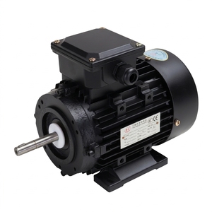 All Copper Three-Phase 0.75KW High Temperature Resistant Induction Motor Pump