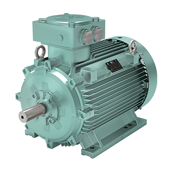 OMEX Explosion-Proof Low Voltage Motor by OME Motors Italy