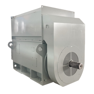 Medium voltage Air Cooled IC416 HV PMSM