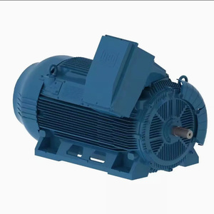 High Performance Low Voltage Compressor TEFC Motor