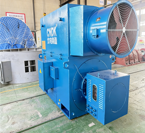 High Voltage Three Phase Induction AC Motor