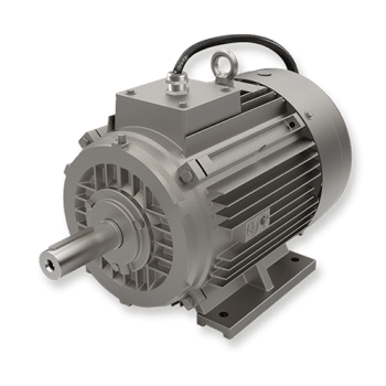 OMS High Temperature Smoke Extraction Motor by OME Motors Italy